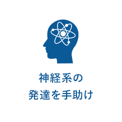 神経系の発達を手助け