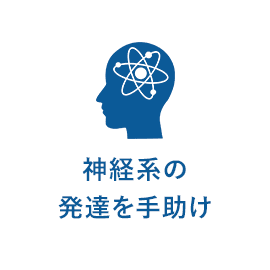 神経系の発達を手助け